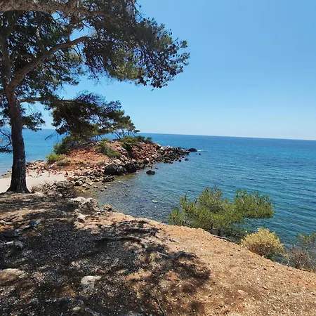 Du Capelan -