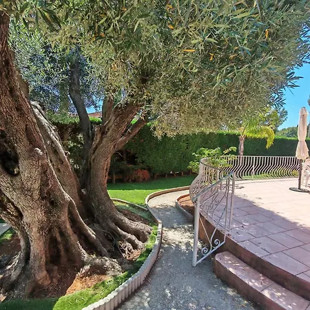 Du Capelan - Bandol